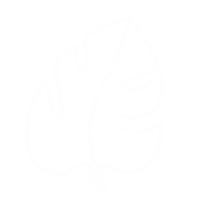 Heart Love Sticker
