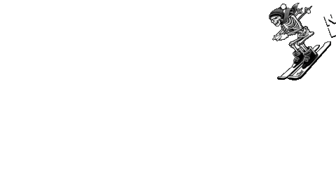 Skiing Snowboard Sticker by Douk Snow