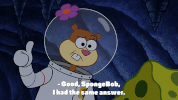 season 10 episode 3 GIF by SpongeBob SquarePants