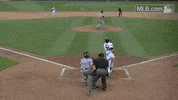 tb GIF by MLB