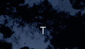 t theme GIF by LIARS