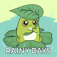 Lily Pad Bitcoin GIF by Ordinary Frends