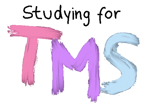 Studying Germany Sticker