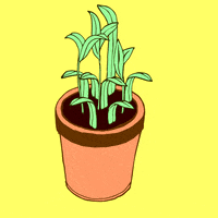 Bored Flower Pot GIF by bad arithmetic