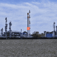 GIF by Greenpeace