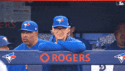Blue Jays Baseball GIF by Toronto Blue Jays