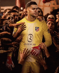 Musso GIF
