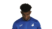 Look Up Tsg Hoffenheim Sticker by Bundesliga