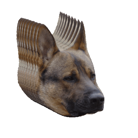 Dog Sticker by julia farkas