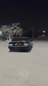 Persiiabaz GIF