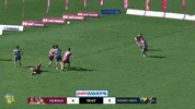 Ntl GIF by Touch Football Australia