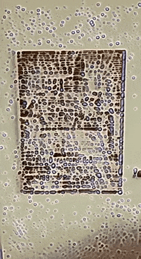 Art Augment GIF by Aleksey Efremov