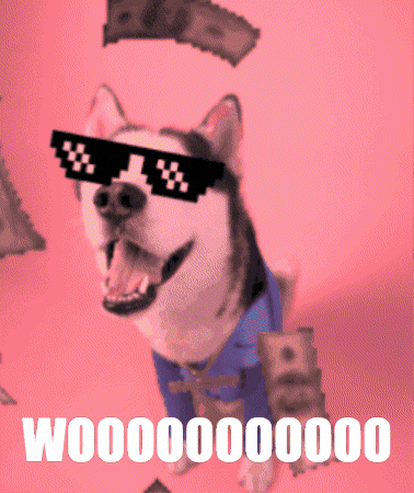 swagrman dog celebration woah husky GIF