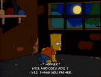 Season 1 GIF by The Simpsons