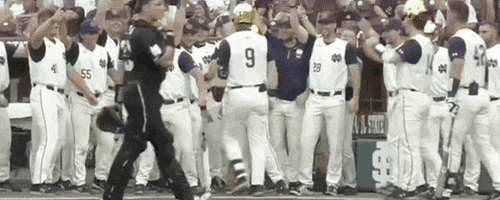 World Series Baseball GIF by NCAA Championships