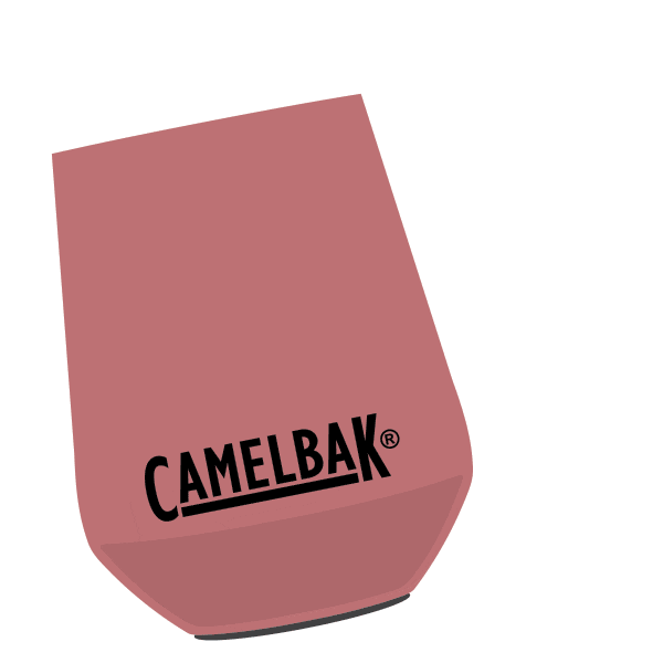 Party Celebrate Sticker by CamelBak