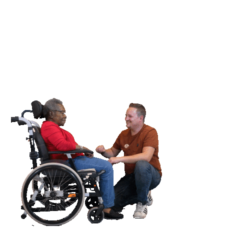 Disability Sticker by Meander