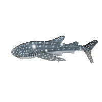 Water Ocean Sticker