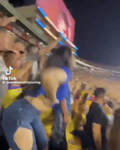 Liga Mx Tigresuanl GIF