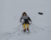 Happy Snow Day GIF by Rowdy the Roadrunner