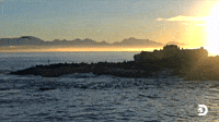 Seals Are Under Siege 24/7