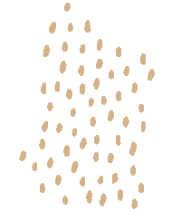 Africa Colours Sticker by Forever Projects