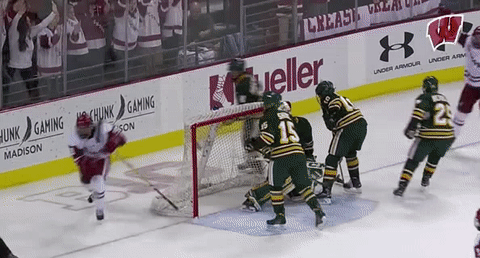 College Hockey Celebration GIF by Wisconsin Badgers