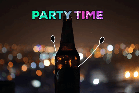 Bierlefanz giphygifmaker party party time nightout GIF