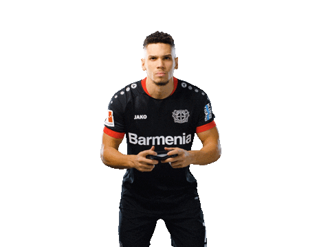 Bayer 04 Werkself Sticker by Bayer 04 Leverkusen