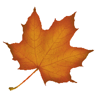 Fall Season Halloween Sticker by Studio Neuhaus