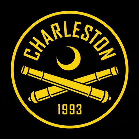 South Carolina Soccer GIF by Charleston Battery