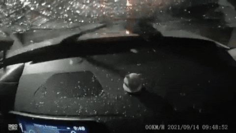 loooovv giphyupload GIF