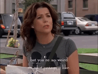 season 4 netflix GIF by Gilmore Girls 