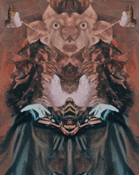 Consider Magic Mushrooms GIF by Luis Ricardo