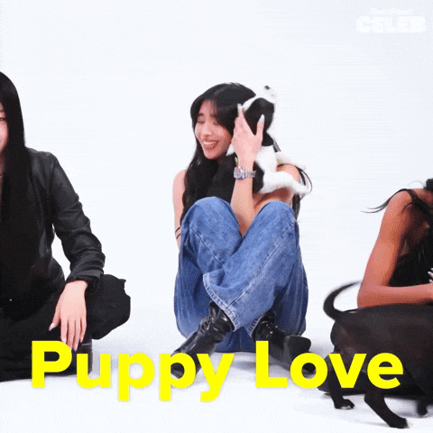 Girl Group Dog GIF by BuzzFeed