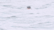 Water Swimming GIF by SEABOB America