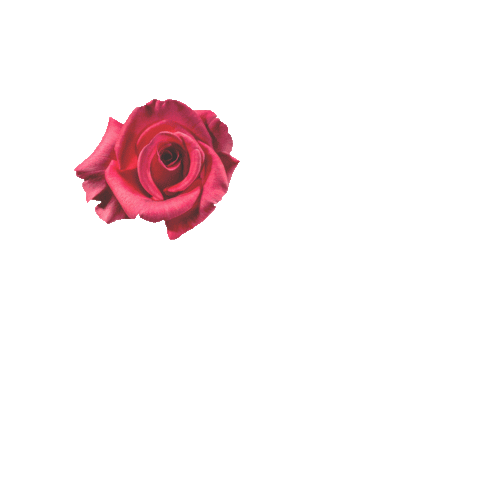 Moontowermicroblading giphyupload Sticker