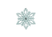 Christmas Star Sticker by 2nice