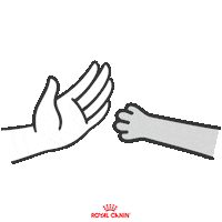 Vet Veterinario Sticker by Royal Canin Brasil