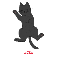 Gato Preto Sticker by Royal Canin Brasil