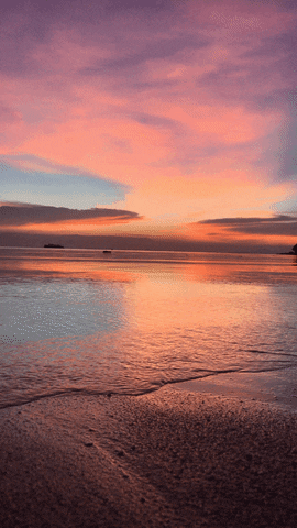 the_sssneg ocean calm seaside thesssneggif GIF