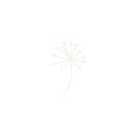 ByMissPluis flower fluffy wit dandelion Sticker