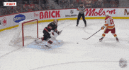Happy Ottawa Senators GIF by NHL
