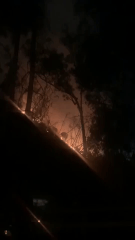Fire Crews Swiftly Contain Brush Fire in Los Angeles Neighborhood