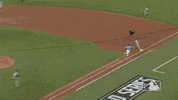 Flying Major League Baseball GIF by MLB