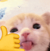 Cat Tongue GIF
