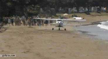 beach plane GIF