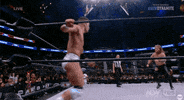 Chris Jericho Wrestling GIF by AEWonTV