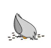 Bird Sticker