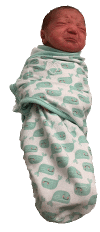 sad baby Sticker by foodbabyny